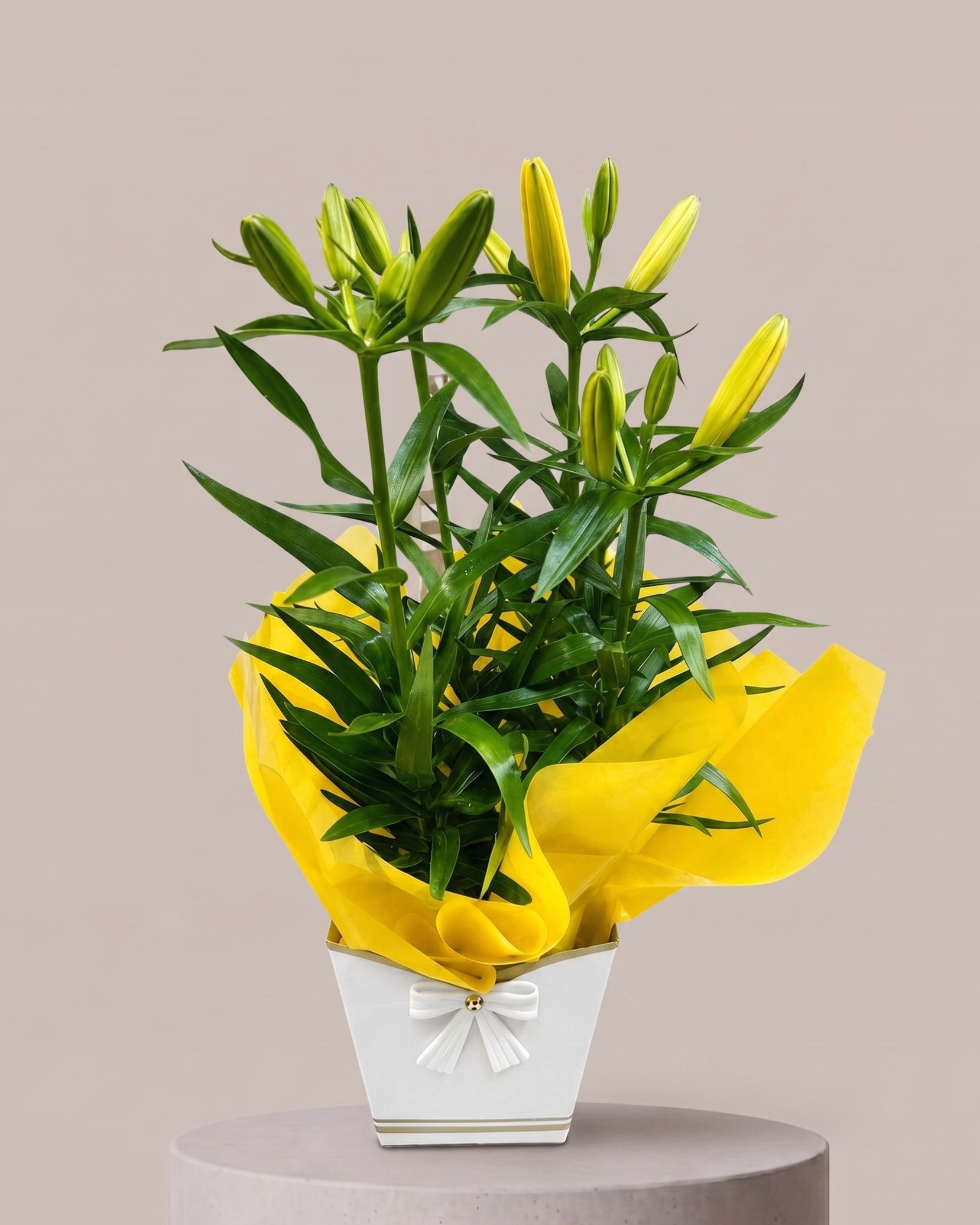 Vaso de Lírio Amarelo