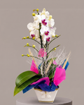 Mini Orquídea Branca