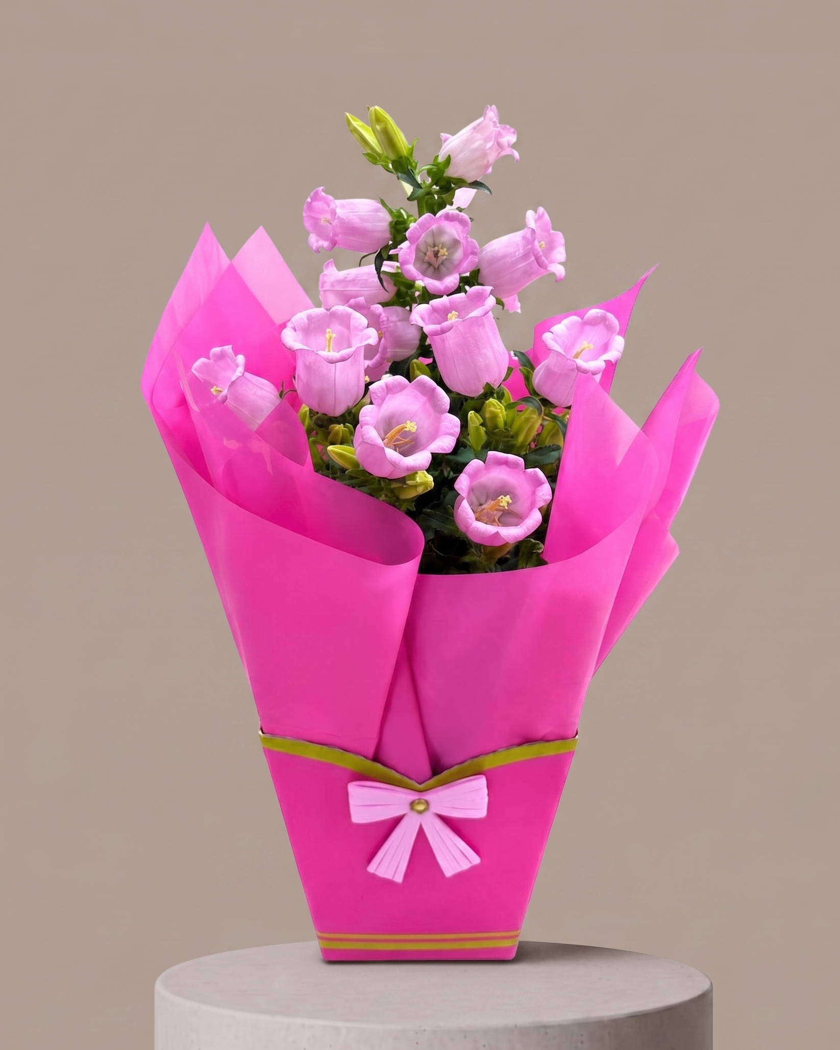 Campânula Rosa